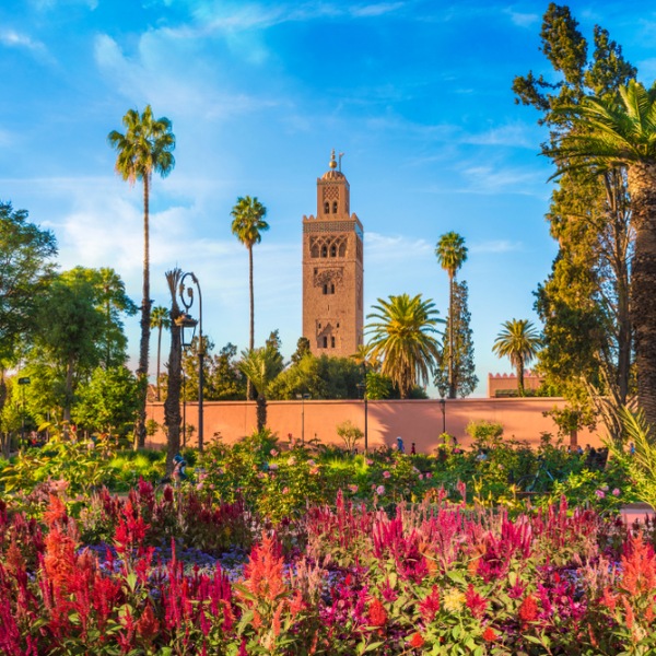 Maroko, kraljevski gradovi - 8 dana